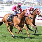 bet on gilgai stakes